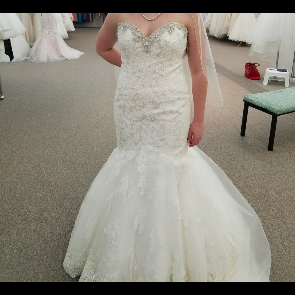 Mori Lee by Madison Gardener wedding dress